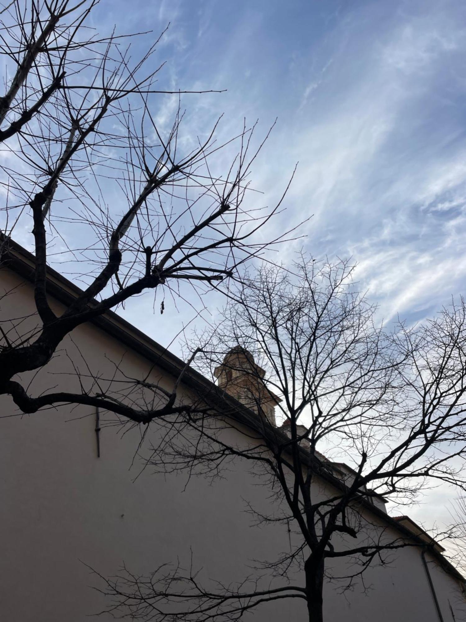 圣托·斯特凡诺·阿尔马尔Bistrot Del Mare公寓 外观 照片